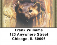 Ferrets Address Labels | LBZANK-34