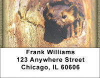 Ferrets Address Labels | LBZANK-34