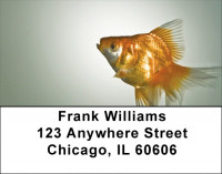 Goldfish Address Labels | LBZANK-35