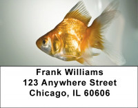 Goldfish Address Labels | LBZANK-35