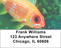 Tropical Fish Address Labels | LBZANK-36