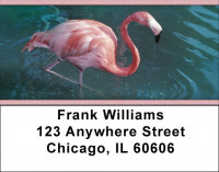 Flamingos In Wild Address Labels | LBZANK-37