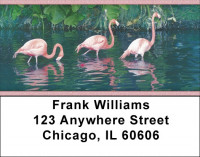 Flamingos In Wild Address Labels | LBZANK-37