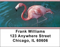 Flamingos In Wild Address Labels | LBZANK-37