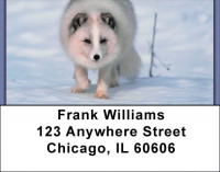 Fox In Winter Address Labels | LBZANK-38