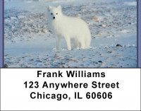 Fox In Winter Address Labels | LBZANK-38