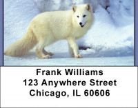 Fox In Winter Address Labels | LBZANK-38