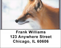 Foxy Address Labels | LBZANK-39