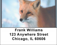 Foxy Address Labels | LBZANK-39