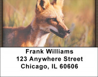 Out Foxed Address Labels | LBZANK-40