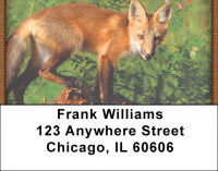 Out Foxed Address Labels | LBZANK-40