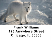 White Fox Address Labels | LBZANK-41
