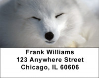 White Fox Address Labels | LBZANK-41