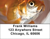 Goldfish Address Labels | LBZANK-44