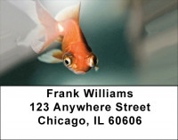 Goldfish Address Labels | LBZANK-44