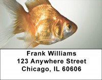 Goldfish Address Labels | LBZANK-44