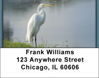 Great White Egret Address Labels | LBZANK-45
