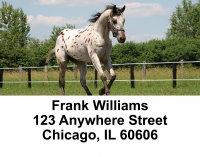 Appaloosa Address Labels | LBZANK-46