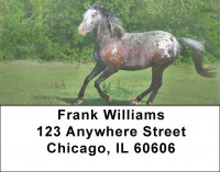 Appaloosa Address Labels | LBZANK-46
