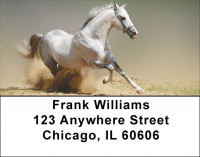 Playful Address Labels | LBZANK-49