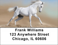 Playful Address Labels | LBZANK-49