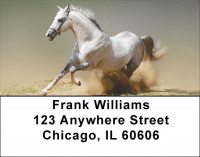 Playful Address Labels | LBZANK-49