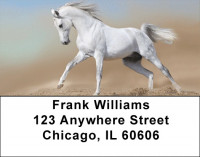 Playful Address Labels | LBZANK-49