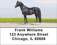 Award Winning Stallions Address Labels | LBZANK-51