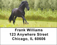 Award Winning Stallions Address Labels | LBZANK-51