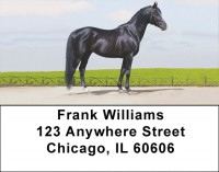 Award Winning Stallions Address Labels | LBZANK-51
