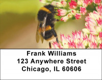 Bumble Bees Address Labels | LBZANK-53