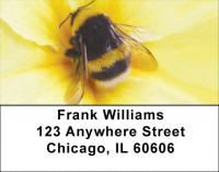 Bumble Bees Address Labels | LBZANK-53
