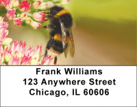 Bumble Bees Address Labels | LBZANK-53