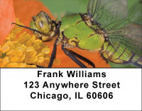 Insects On Flowers Address Labels | LBZANK-54