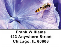 Insects On Flowers Address Labels | LBZANK-54