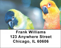 Parakeets On Parade Address Labels | LBZANK-55