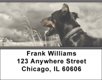 Doberman Address Labels | LBZANK-57