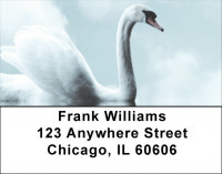 Swans - Swan Fantasies Address Labels | LBZANK-58
