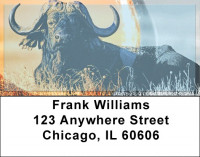 Water Buffalo Address Labels | LBZANK-59