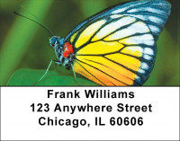 Butterfly Bonanza Address Labels | LBZANK-61