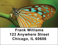 Butterfly Bonanza Address Labels | LBZANK-61