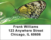 Butterfly Bonanza Address Labels | LBZANK-61