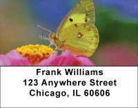 Butterfly Dreams Address Labels | LBZANK-62