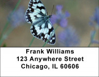 Butterfly Dreams Address Labels | LBZANK-62
