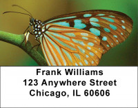 Butterfly Dreams Address Labels | LBZANK-62