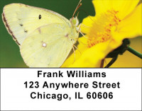 Golden Wings Address Labels | LBZANK-65