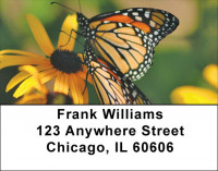 Golden Wings Address Labels | LBZANK-65