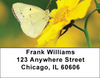 Golden Wings Address Labels | LBZANK-65