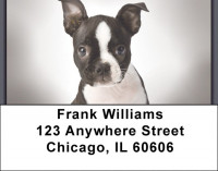 Boston Terrier Puppies Address Labels | LBZDOG-03
