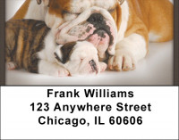 Bulldogs Address Labels | LBZDOG-04